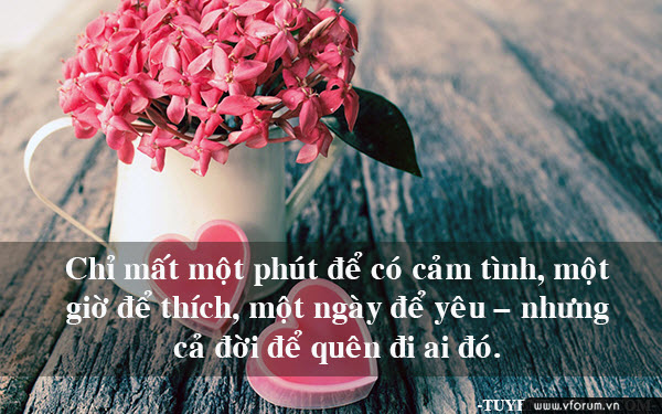 hinh-anh-danh-ngon-tinh-yeu-y-nghia-28.jpg