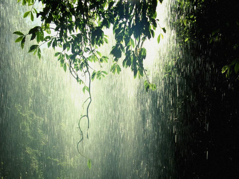 Hình ảnh cơn mưa dông dữ tợn ở Hà Nội