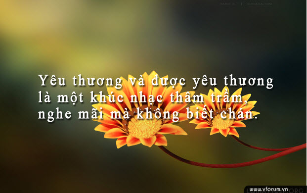 hinh-anh-nhung-cau-danh-ngon-tinh-yeu-24.jpg