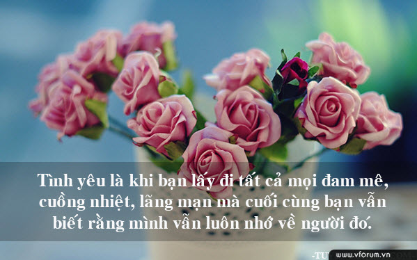 hinh-anh-nhung-cau-danh-ngon-tinh-yeu-7.jpg