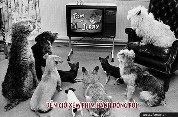 hinh-anh-tom-and-jerry-che-hai-huoc-nhat-3.jpg