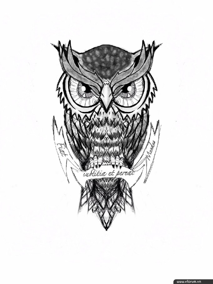 Tập vẽ  vẽ hình xăm chim cú mèo bằng bút chì  drawing tattoo  YouTube