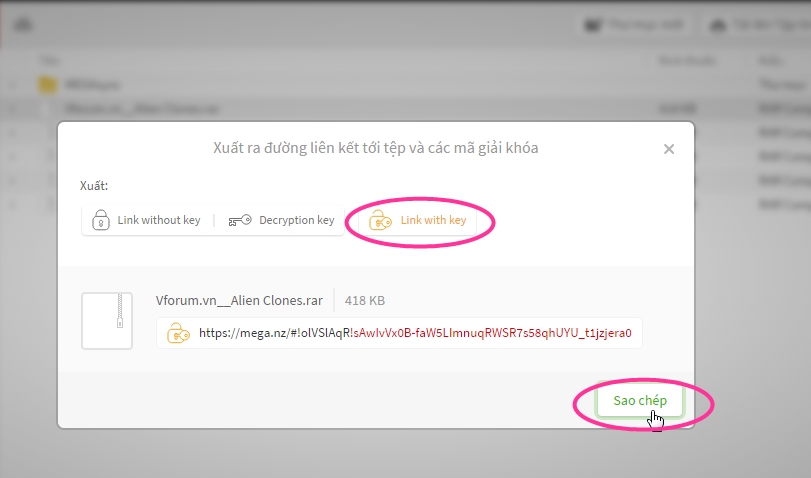 Cách Lấy Địa Chỉ Liên Kết Của Link Download File Mega Sau Khi Upload |  Vfo.Vn