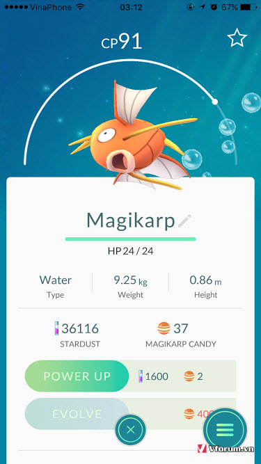 magikarp-trong-pokemon-go.jpg