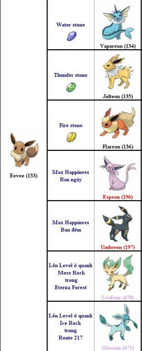 su-tien-hoa-pokemon-eevee.jpg