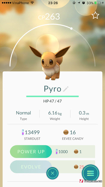 tien-hoa-pokemon-eevee-pyro-he-lua.jpg