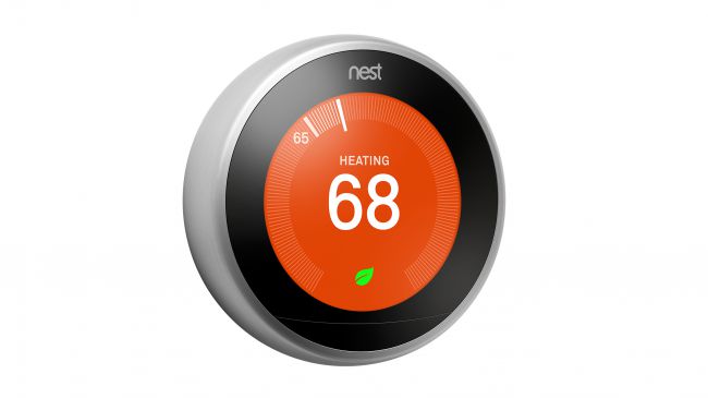 13.nest.jpg