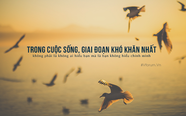 cau-noi-hay-ve-cuoc-song-gia-dinh.jpg