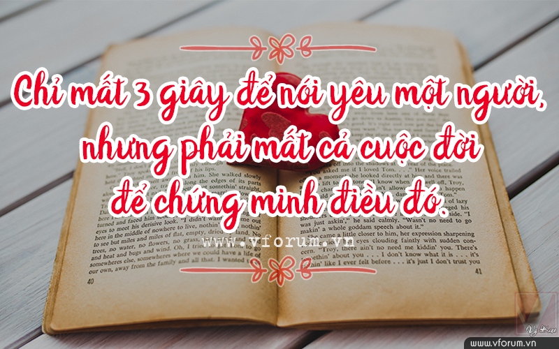 cau-noi-y-nghia-ve-tinh-yeu-hanh-phuc.jpg