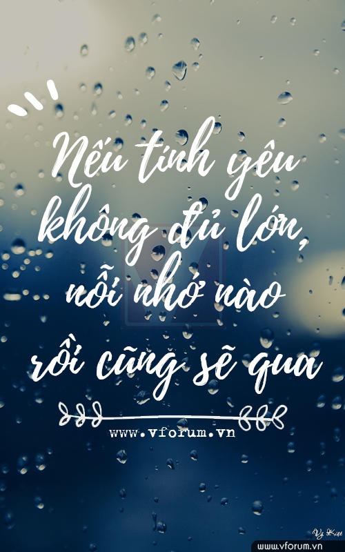 cau-noi-y-nghia-ve-tinh-yeu.jpg