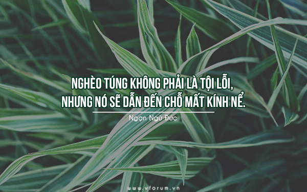 cau-noi-hay-ve-giau-co-ngheo-kho-5.jpg