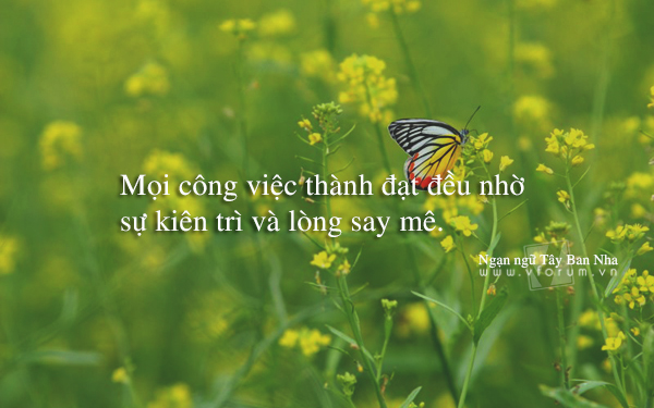 nhung-cau-noi-hay-ve-khat-vong-2.jpg