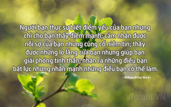 nhung-cau-noi-hay-ve-tinh-ban-3.jpg