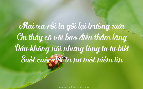 nhung-cau-noi-hay-ve-tri-an-thay-co-17.jpg