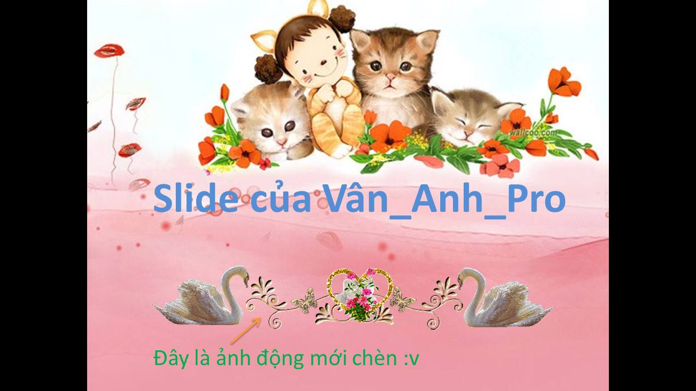 Hình ảnh Phim Hoạt Hình động Vật Mèo Con Dễ Thương PNG Miễn Phí Tải Về -  Lovepik