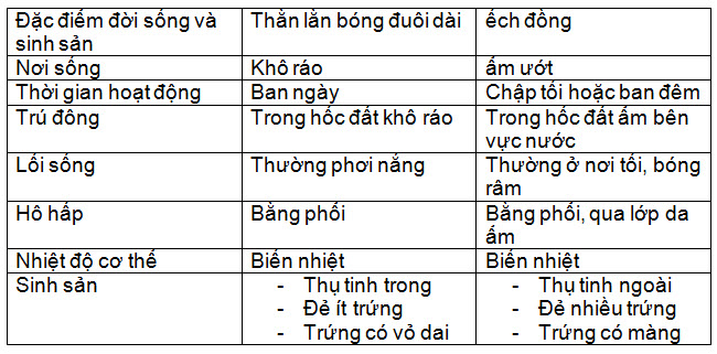 so-sanh-than-lan-va-ech-dong.jpg