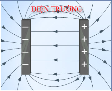 dien-truong.jpg