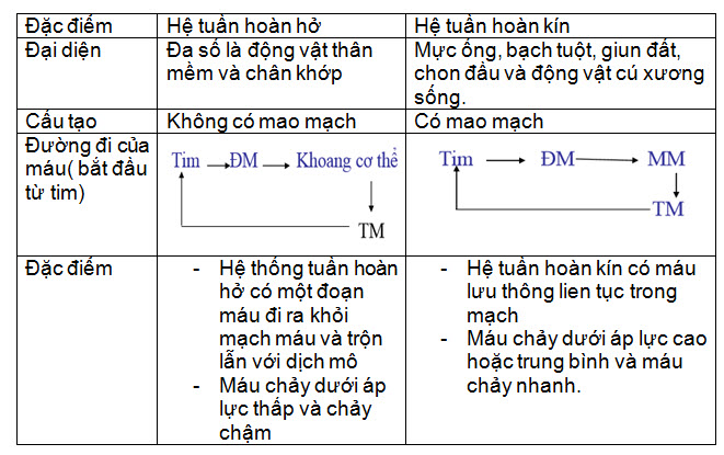 he-tuan-hoan(2).jpg