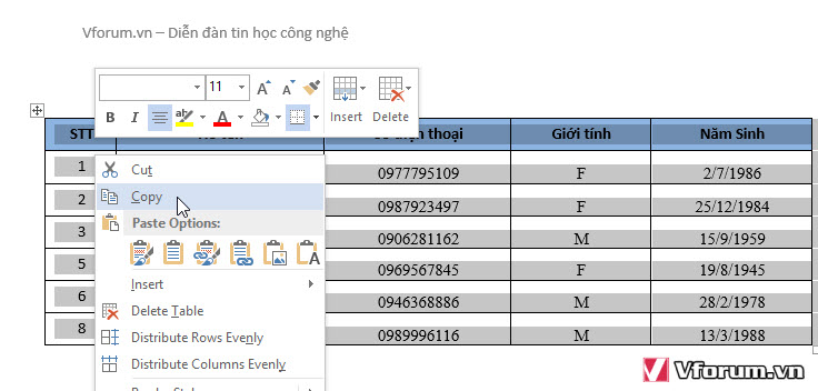 copy-word-vao-powerpoint-giu-nguyen-dinh-dang.jpg