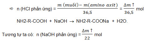 amino-axit(2).jpg