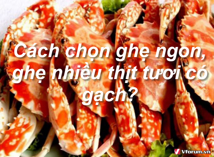 cach-chon-ghe-ngon-ghe-nhieu-thit-tuoi-co-gach-1.jpg