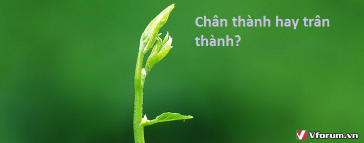 chan-thanh-cam-on-hay-tran-thanh-cam-on-la-dung.jpg