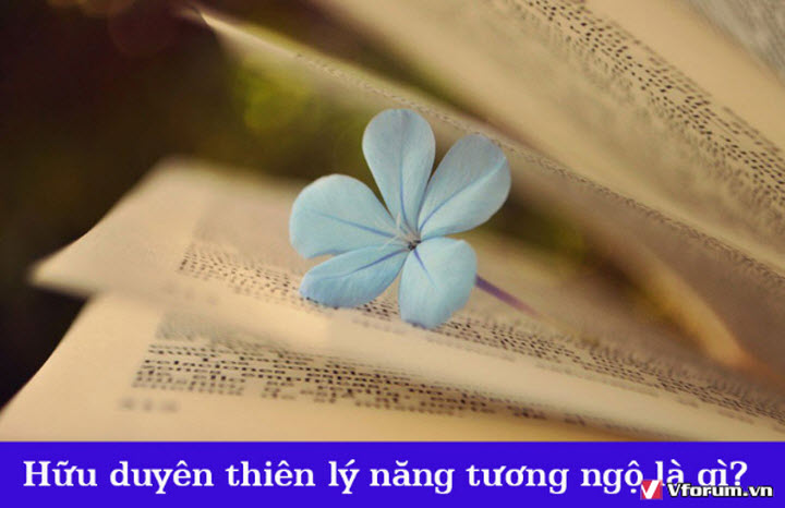 huu-duyen-thien-ly-nang-tuong-ngo-vo-duyen-doi-dien-bat-tuong-phung-nghia-la-gi-3.jpg