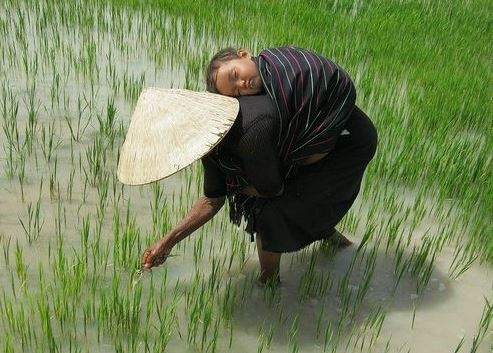 khuc-hat-ru-nhung-em-be-lon-tren-lung-me.jpg