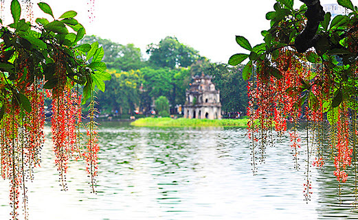 Hồ Gươm: Hãy khám phá vẻ đẹp huyền thoại của Hồ Gươm - một trong những biểu tượng lịch sử quan trọng nhất của Hà Nội. Khung cảnh yên bình và thơ mộng của hồ sẽ khiến bạn cảm thấy bình an và thư giãn.