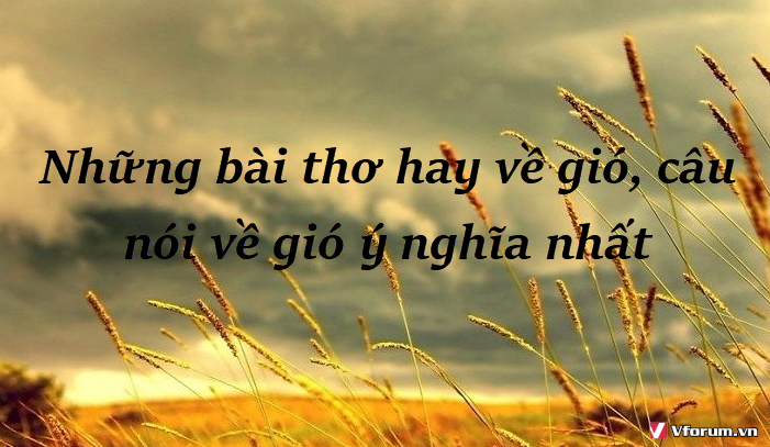 nhung-bai-tho-hay-ve-gio-cau-noi-ve-gio-y-nghia-nhat-1.png