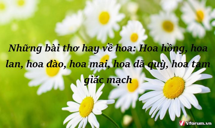 nhung-bai-tho-hay-ve-hoa-hoa-hong-hoa-lan-hoa-dao-hoa-mai-hoa-da-quy-hoa-tam-giac-mach-0.png