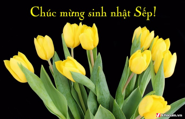 hinh-anh-chuc-mung-sinh-nhat-sep-hay-nhat-y-nghia-12.png