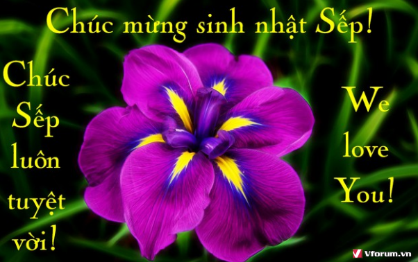 hinh-anh-chuc-mung-sinh-nhat-sep-hay-nhat-y-nghia-13.png