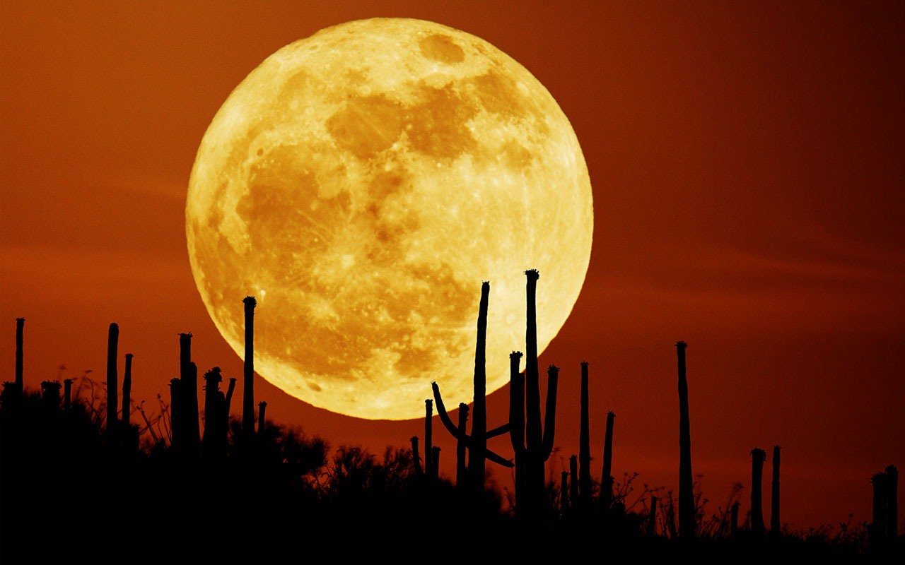 Hình ảnh hình nền ánh trăng, mặt trăng đẹp nhất | VFO.VN