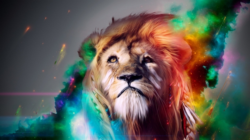 3D Lion Digital Art Wallpaper  Hình Nền 3D Sư Tử Đẹp