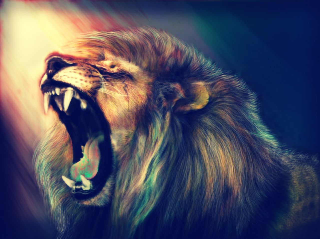 Hình ảnh hình nền con sư tử đẹp nhất  VFOVN
