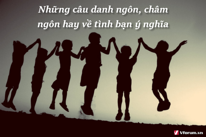 nhung-cau-danh-ngon-cham-ngon-hay-ve-tinh-ban-y-nghia-1.png