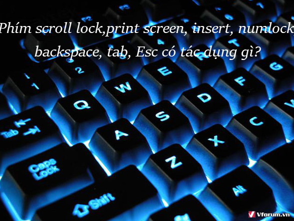 phim-scroll-lock-print-screen-insert-numlock-backspace-tab-esc-co-tac-dung-gi.png