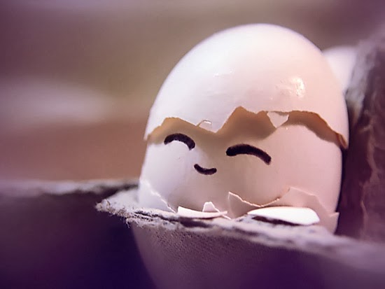 Top những hình ảnh quả trứng ngộ nghĩnh dễ thương | VFO.VN