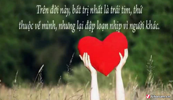 top-nhung-status-chat-nhat-ve-tinh-yeu-tinh-ban-cuoc-song-y-nghia-ngan-gon-2.png