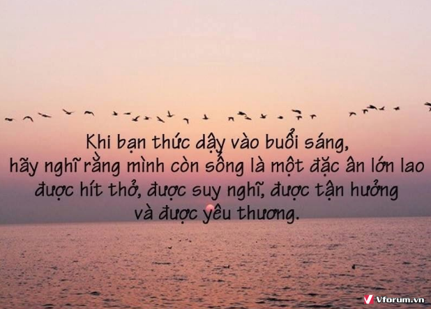 top-nhung-status-chat-nhat-ve-tinh-yeu-tinh-ban-cuoc-song-y-nghia-ngan-gon-3.png