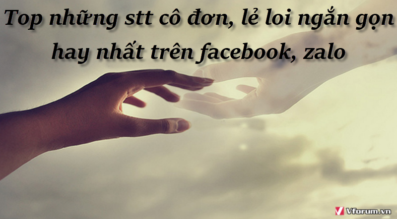 top-nhung-stt-co-don-le-loi-ngan-gon-hay-nhat-tren-facebook-zalo-1.png