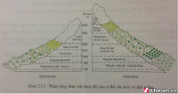 hinh-23.3-bai-23-sgk-dia-ly-7.jpg