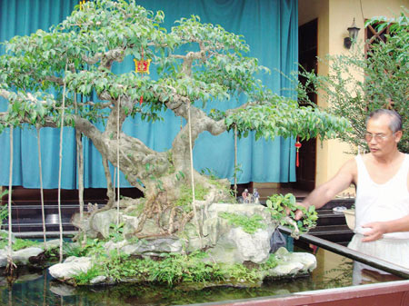 hinh-anh-bonsai-cay-canh-cay-xanh-the-dep-nhat-dat-tien-32.jpg