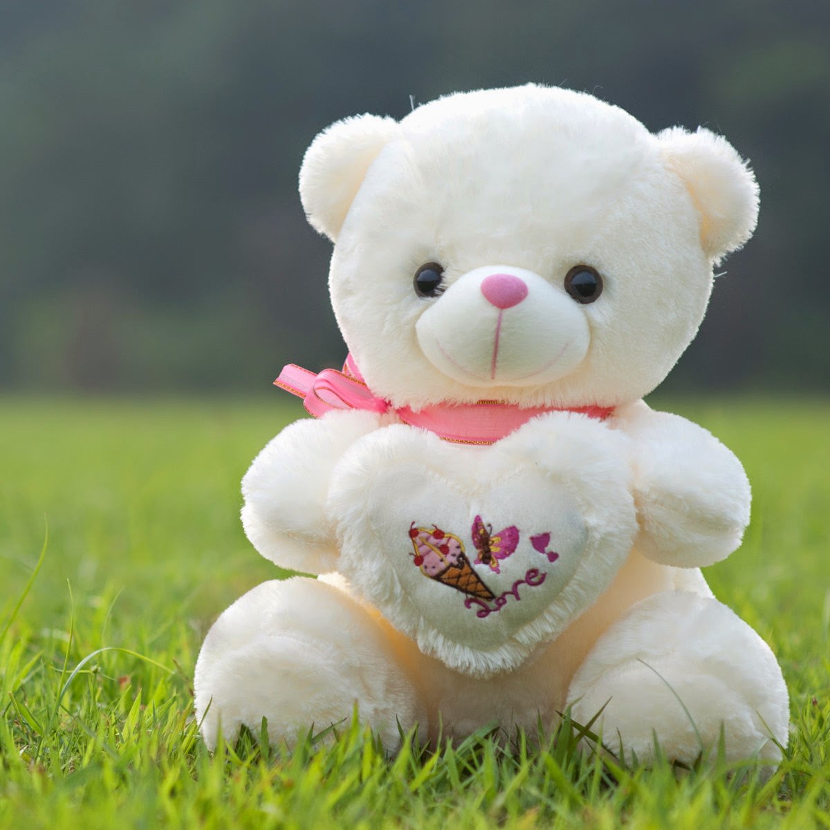 Hình ảnh con gấu dễ thương, gấu nâu, gấu panda, teddy | VFO.VN