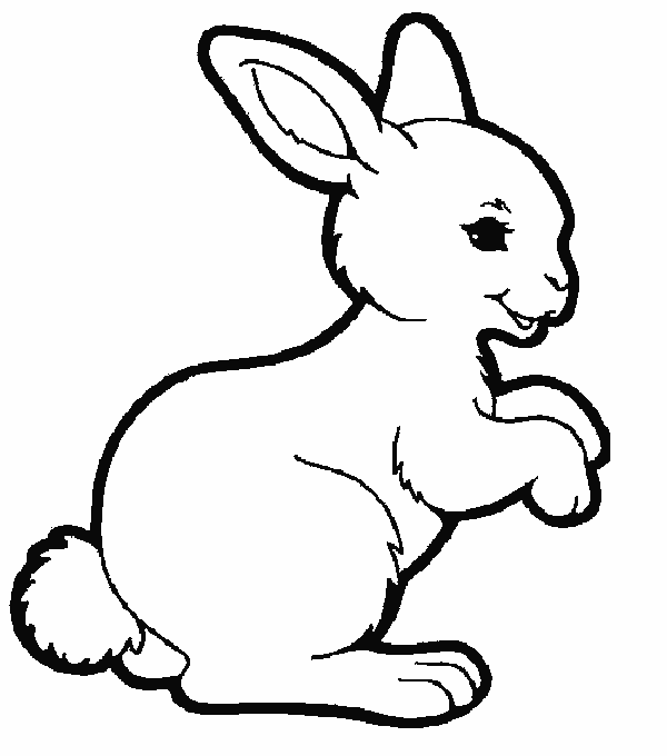 Hình ảnh con thỏ, hình tô màu con thỏ dễ thương cho bé 