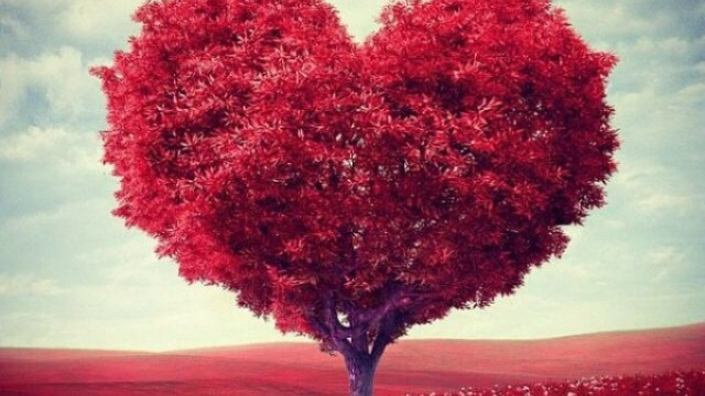 Cây trái tim là biểu tượng của tình yêu và sự sinh sôi. Hình ảnh cây trái tim đầy màu sắc và sức sống sẽ làm cho bạn cảm thấy tựa như đang sống trong một thế giới đầy niềm vui và hy vọng. Hãy để cây trái tim truyền tới bạn sự yêu thương vô tận.