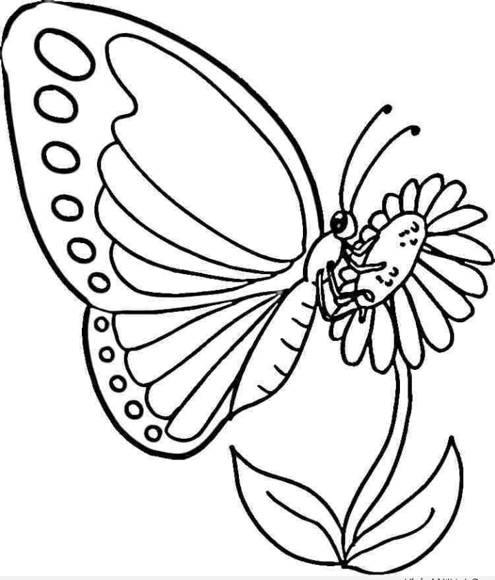 Vẽ con bướm đang bay: Con bướm đang bay mang lại cho chúng ta cảm giác tự do, bay bổng, nhưng cũng đầy sức sống. Hãy xem qua các bức tranh vẽ con bướm đang bay, và cùng tạo điểm nhấn cho bức tranh của bạn với những cách tô màu, nét vẽ, tạo kết cấu khác nhau.