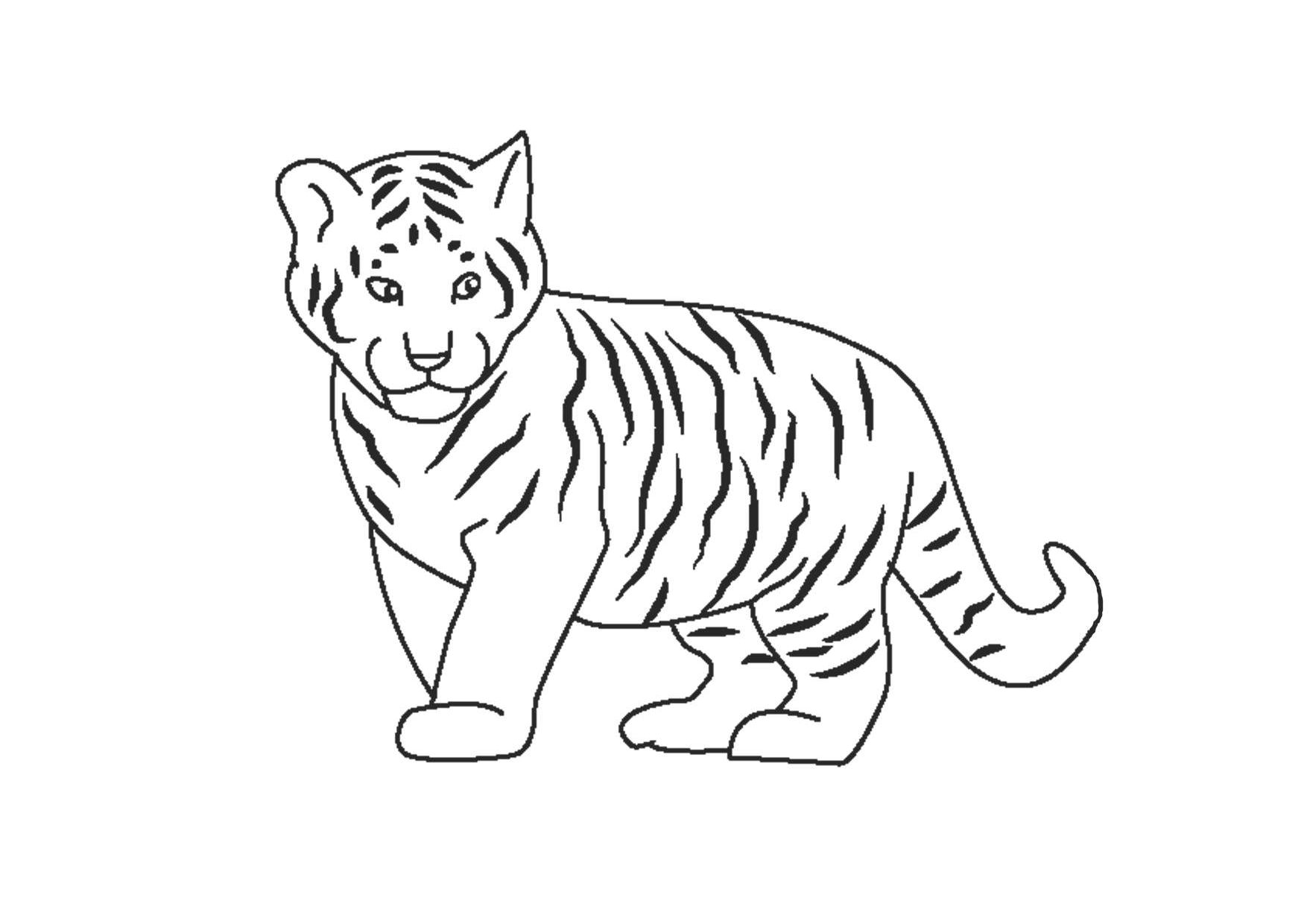 Tô màu Vẽ Con Hổ Xinh Xắn  Trang Tô Màu Cho Bé