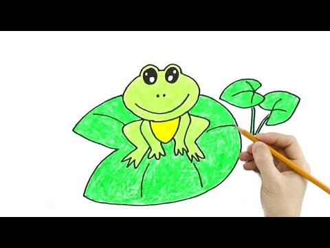 Hướng dẫn chi tiết cách vẽ con ếch từng bước